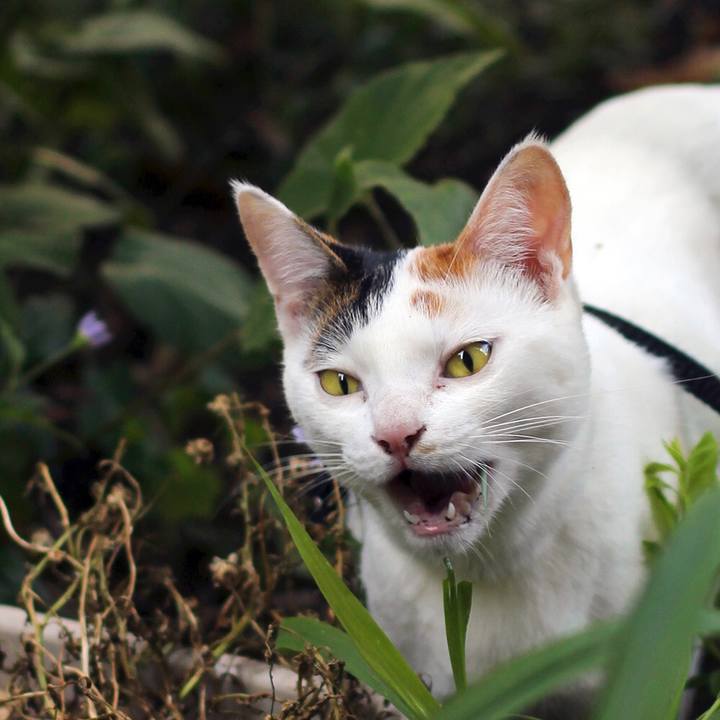 C9e61a25 a607 4c27 ba05 3672af3ad4d9 1562828364491