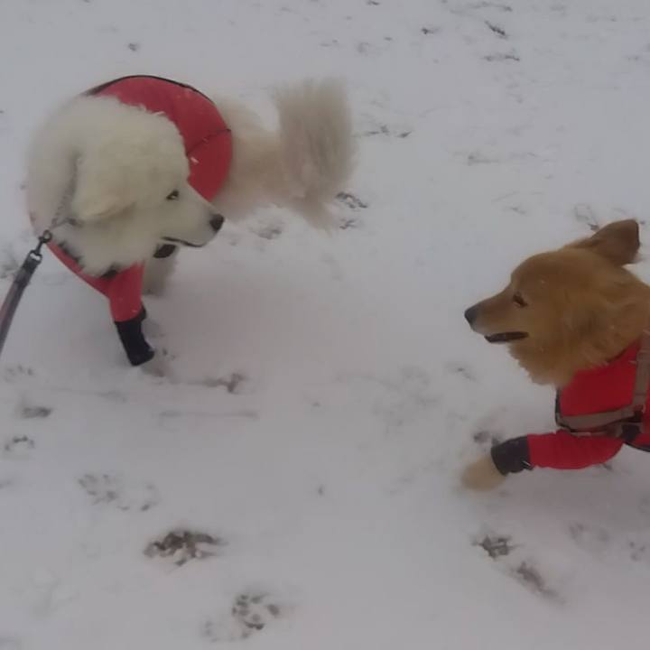 C9e6373b 4c2d 4d4c 9b7b ba018f3abe7e 1676024315921