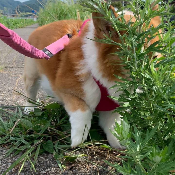 C9e67ecc 2eb1 4c5b 8a82 e0f9e431191f 1723249299024