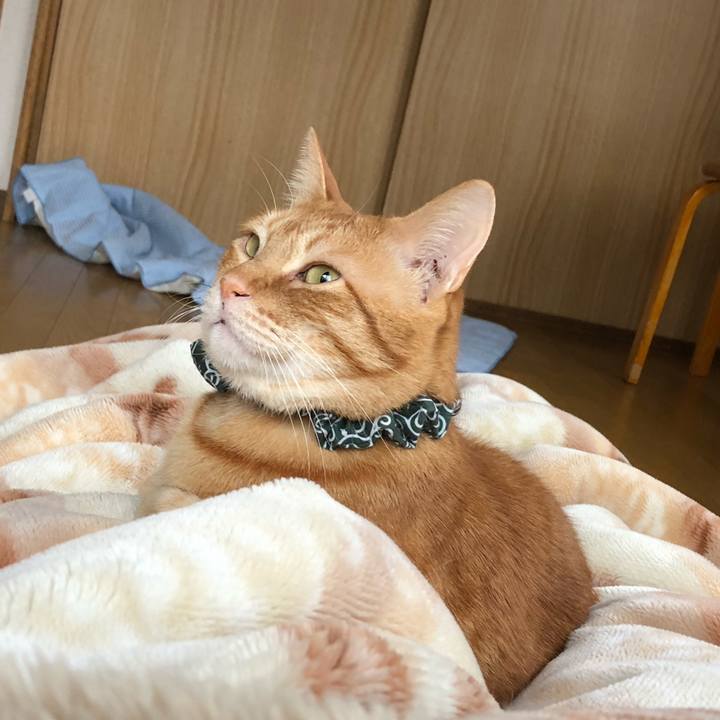 C9e6a1cb e12e 41e7 a789 128caa9f57af 1557091534184