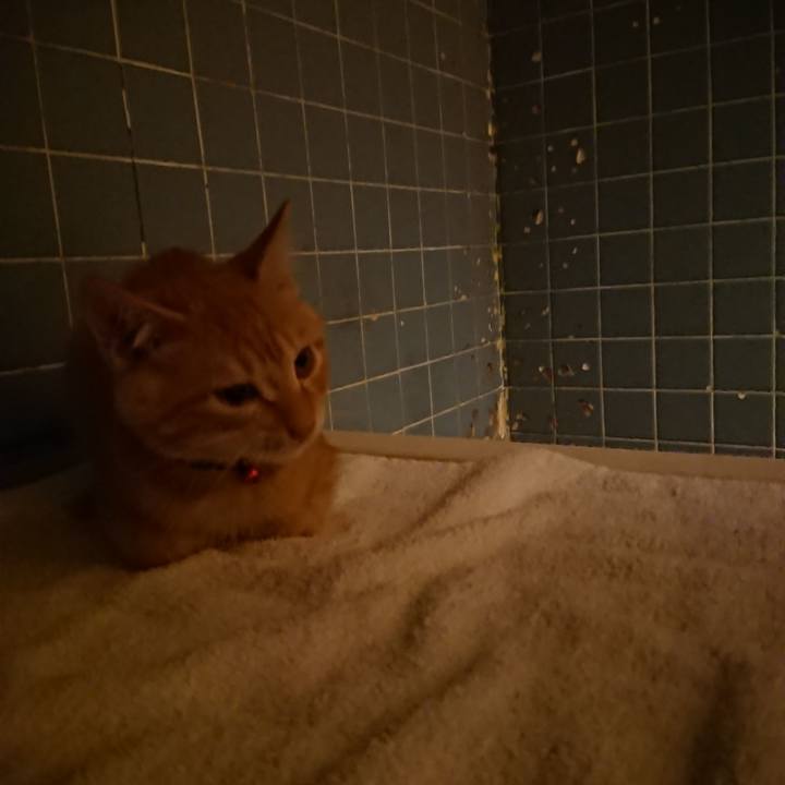 C9e6d10e e38f 4fb3 a64d 33fb77c70c0a 1632564373509