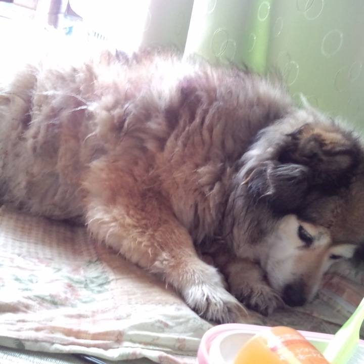 C9e75f84 e4cc 4969 9c9f 7c6bd4fc767b 1626353526776