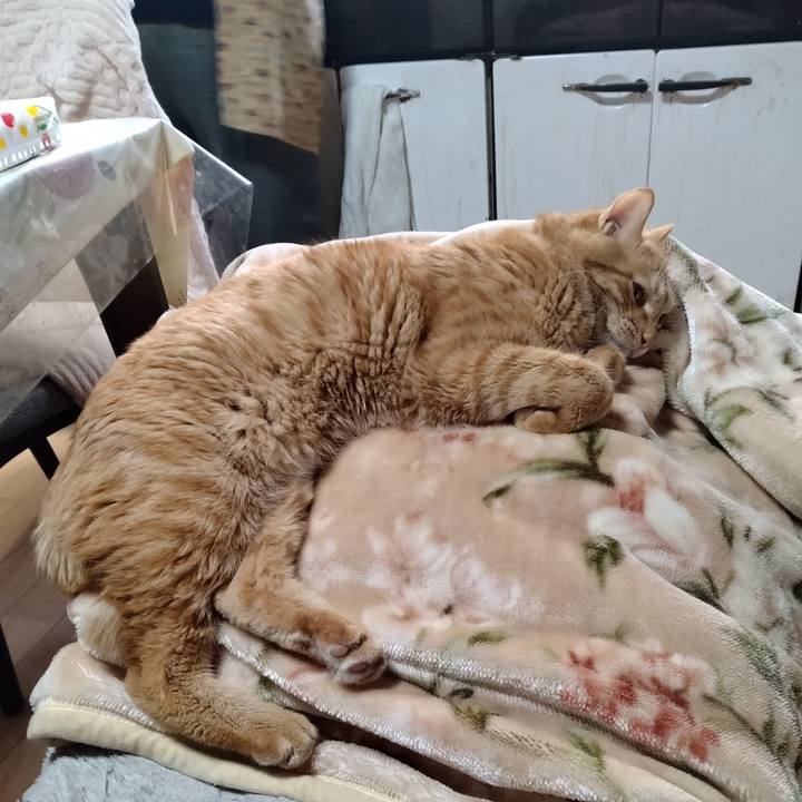 C9e763bb 8c23 4f84 8d9c d13d7894eee3 1673420918090