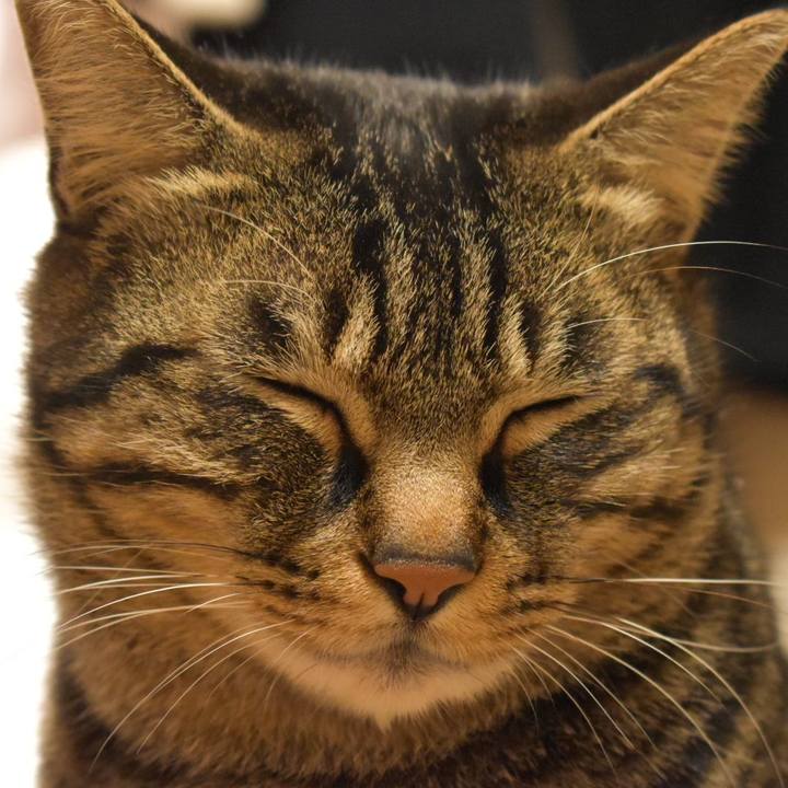 C9e78c8f cf0e 473c b028 54a6d743a419 1546155413457