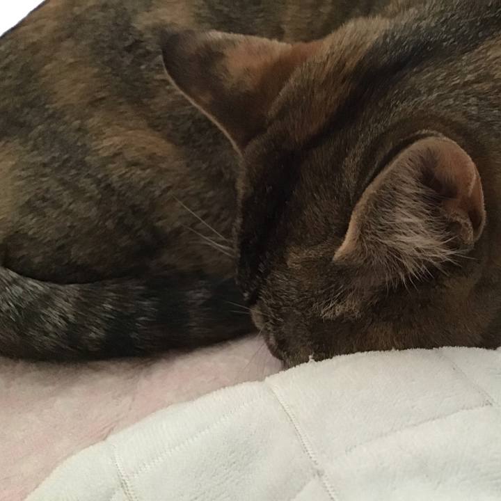 C9e792b9 6cdc 4cc9 98f3 81cde9c3e7c6 1585350048865