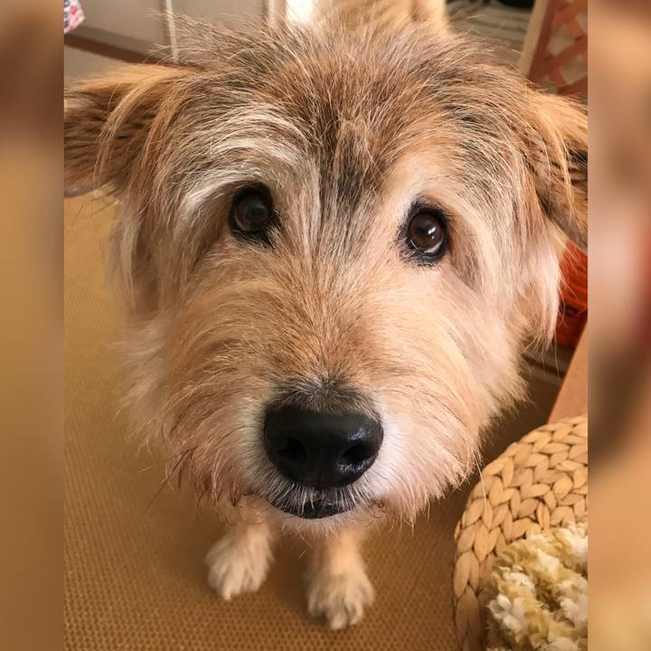 C9e7e340 a95b 4028 a314 09f8b3004c67 1646286548295