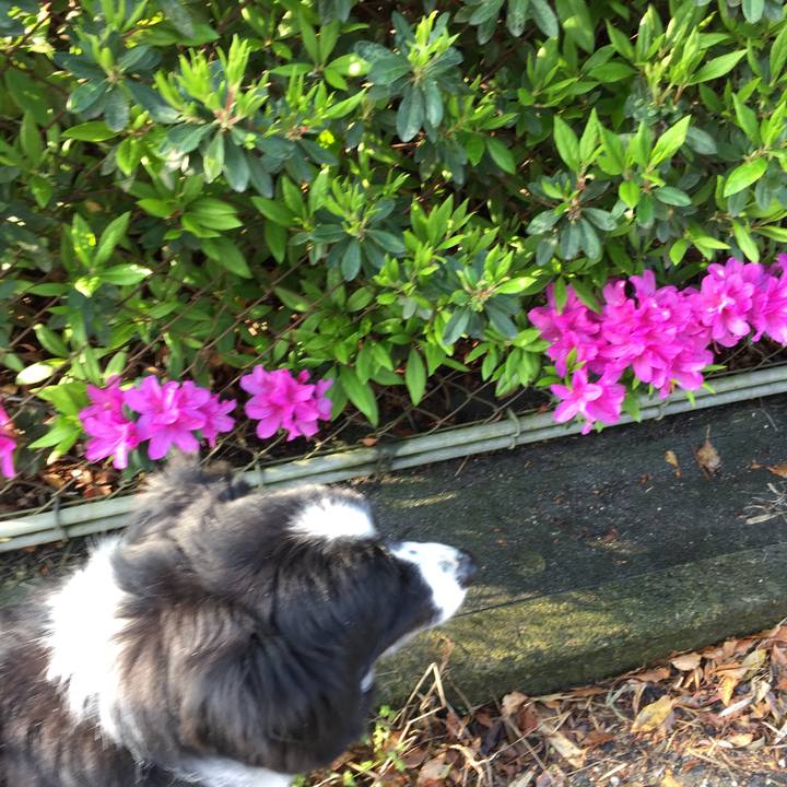 C9e7f7ef 9170 4b76 b38a 514d5197f8da 1554679714318