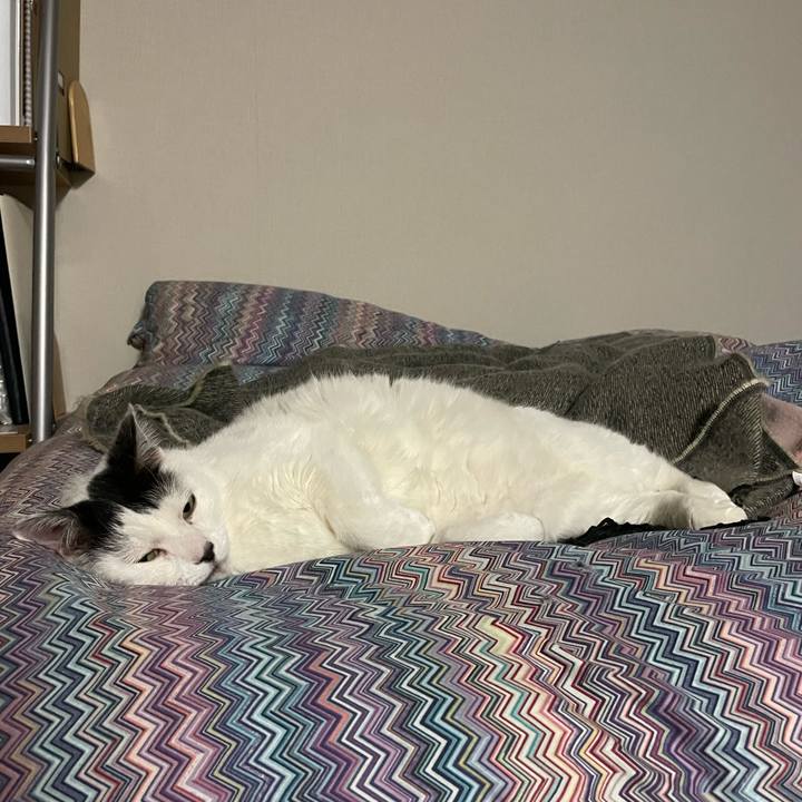 C9e8030f 0b46 4b5a af48 c8f73c7c9741 1674653011705