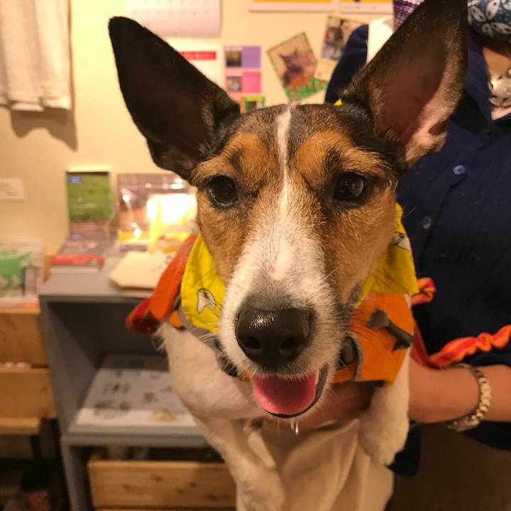 C9e80d6f e4d9 4a0e 8e36 ac2e2d0cc76c 1508636412205