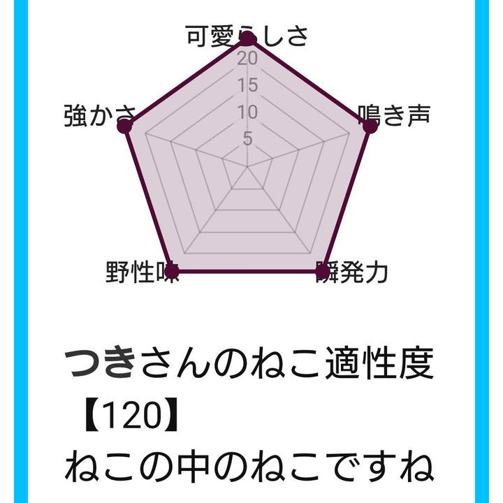 C9e81d51 59ec 4653 b615 829436f8a537 1538551679011