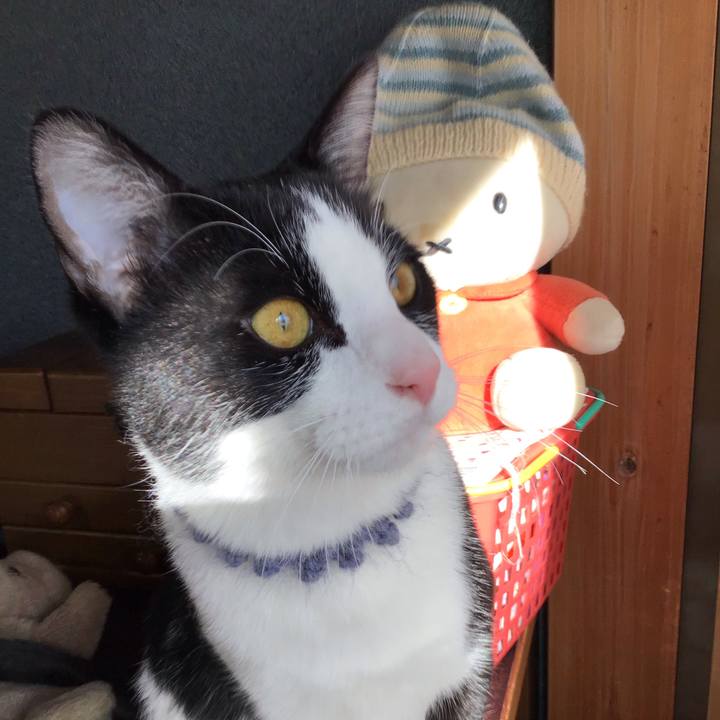 C9e8250c de65 4a6c b884 fcb09d8c5d95 1641085164949