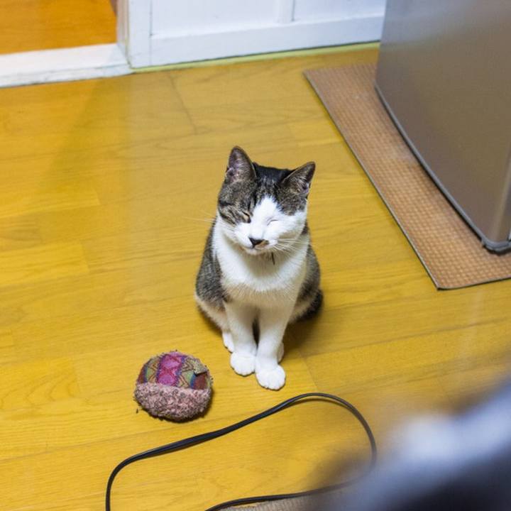 C9e8565e 5e21 42b9 908f 2e4bd0eb4a8a 1510226787027