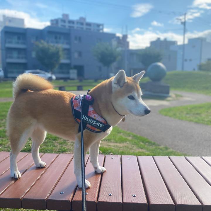 C9e86ae6 1e65 42d5 b9da 1151c7746d04 1633828978093