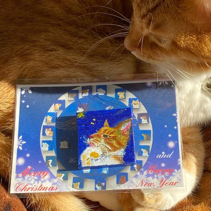 C9e87ca9 2f4e 4ff9 a790 47e3b7e26b3a 1734493030057