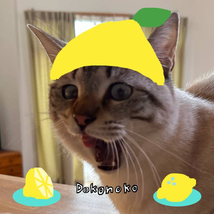 C9e8d16b 7b44 4e54 8c41 9240f6efa87b 1741424041886