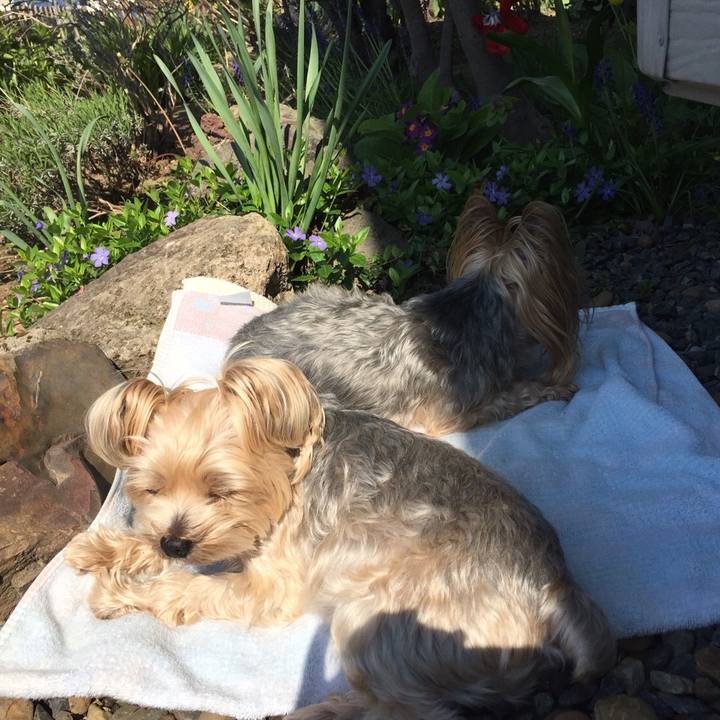 C9e8fa40 c80d 4ec2 8594 83a1580c197a 1527055547707