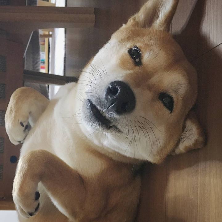 C9e90612 17d4 4e0e be4f 5c46392e16b0 1523979327621