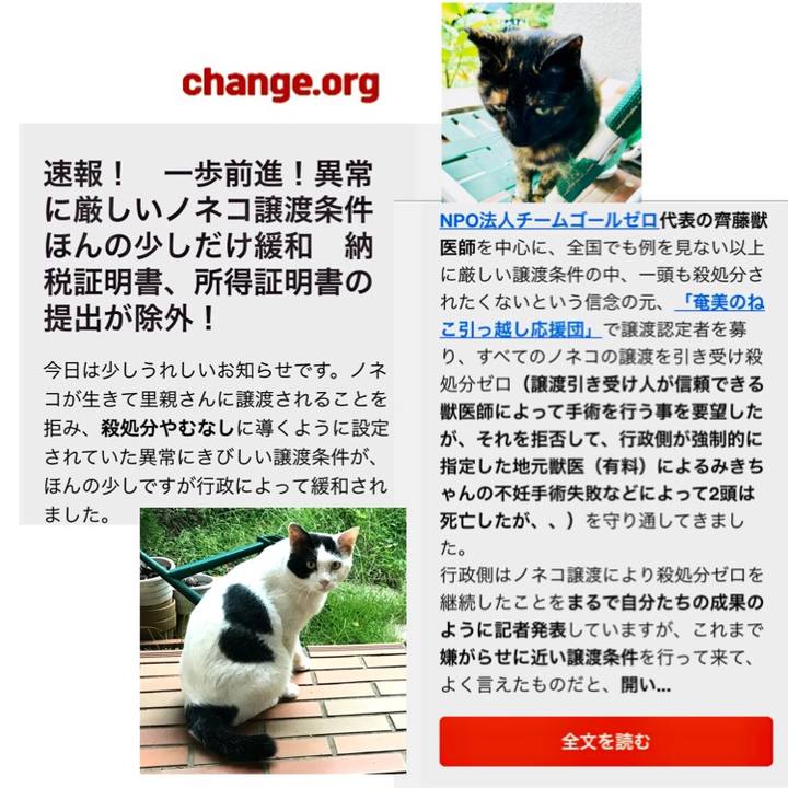 C9e9230f db66 49f1 8d52 4c2fc4872f2f 1572426333848