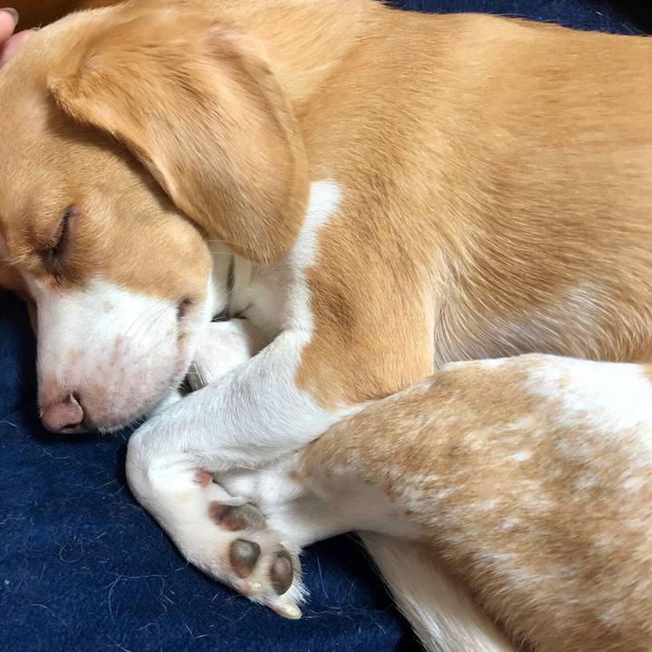 C9e9279c 67d0 4f4b b786 ebf31025a18f 1562399739988