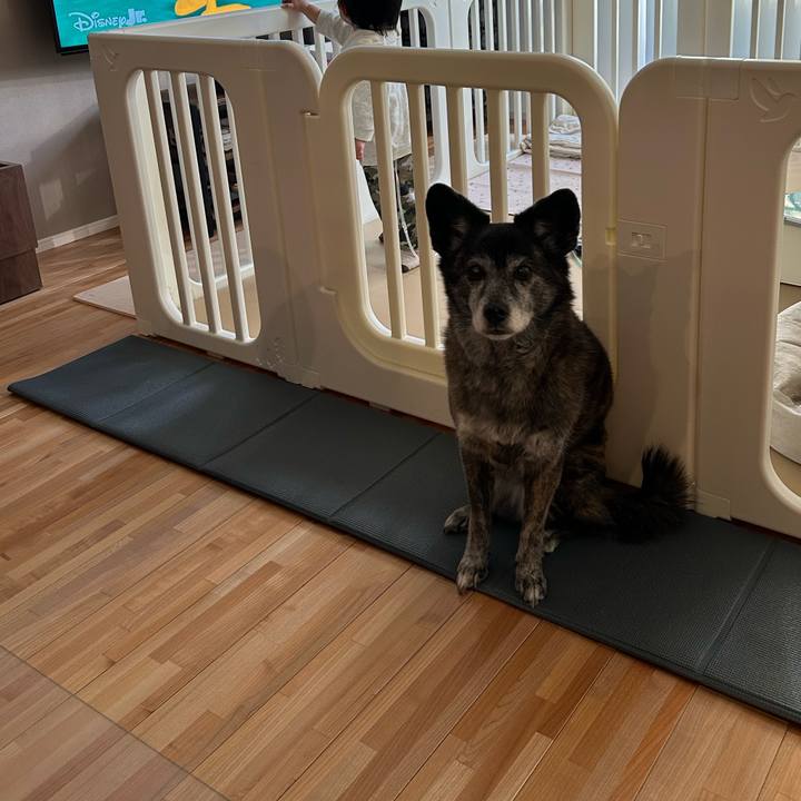 C9e9a7fc d103 4b74 a179 c15bca665eaf 1736468737446