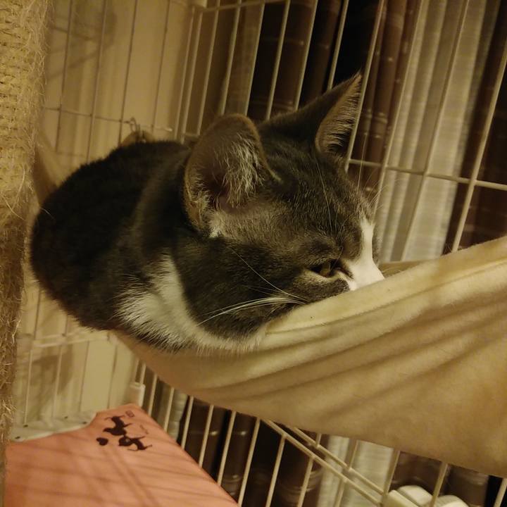 C9e9afd7 7b40 4e0f 8f84 2a14c192245f 1582031032883