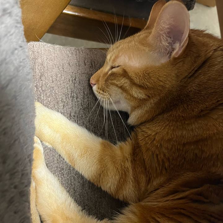 C9e9bed7 ea76 439a 8533 7e3751318ea7 1670714686387