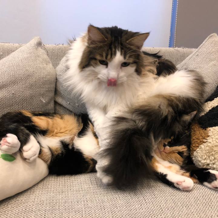 C9e9c4f9 4610 4767 b744 53a2e0153d77 1673997530069