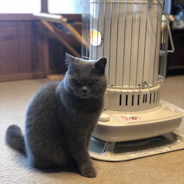 C9ea121b e22e 4475 b052 6db038494f11 1579230689994