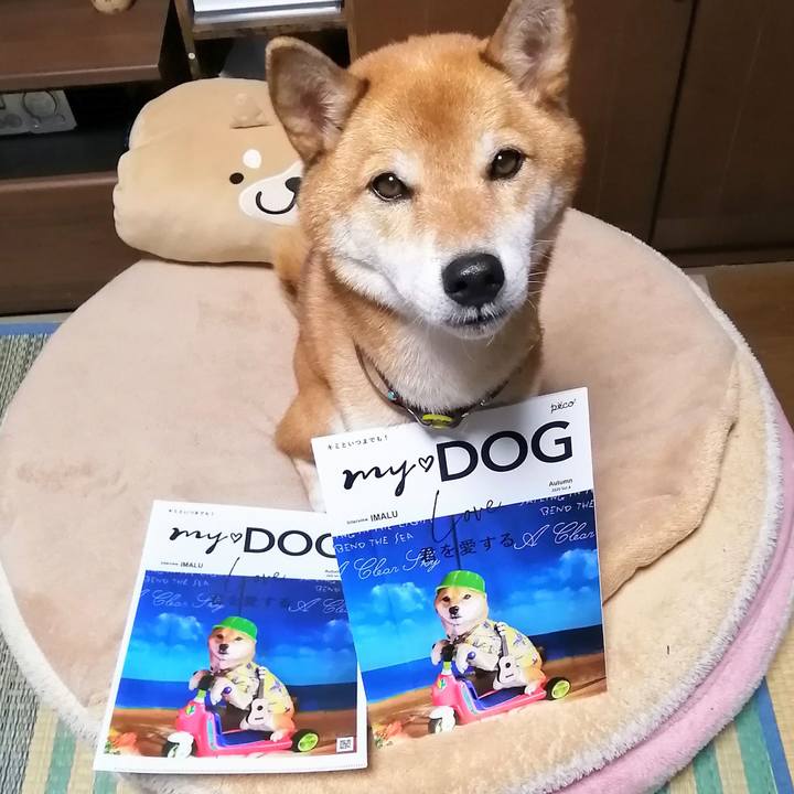 C9ea12e2 cd9f 4f25 8821 cebcb2323043 1601628508975