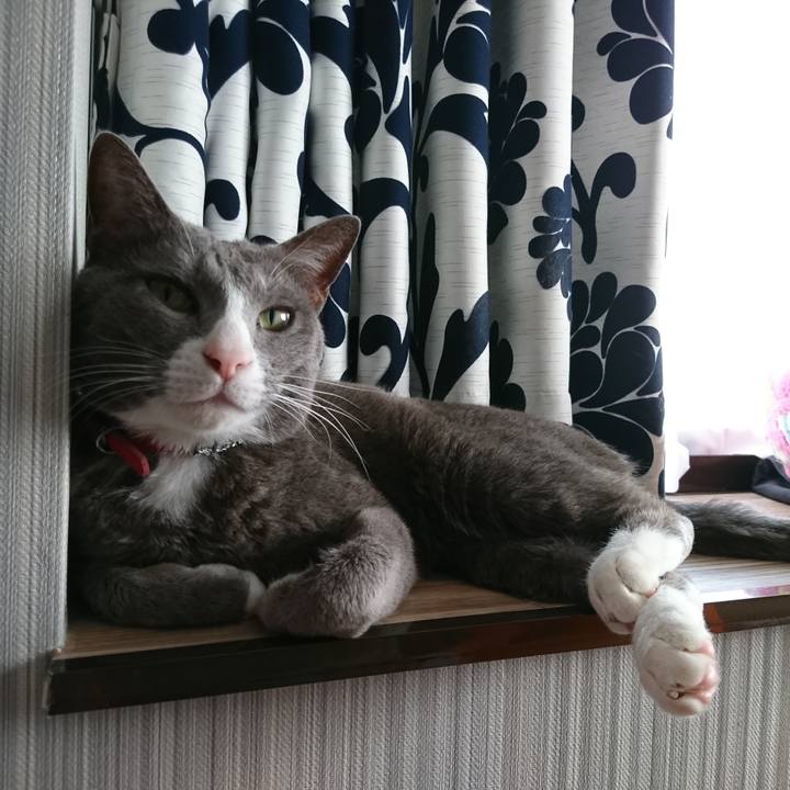 C9ea198e be8a 46e8 aa33 ff9c8c8fcdb7 1523365299516