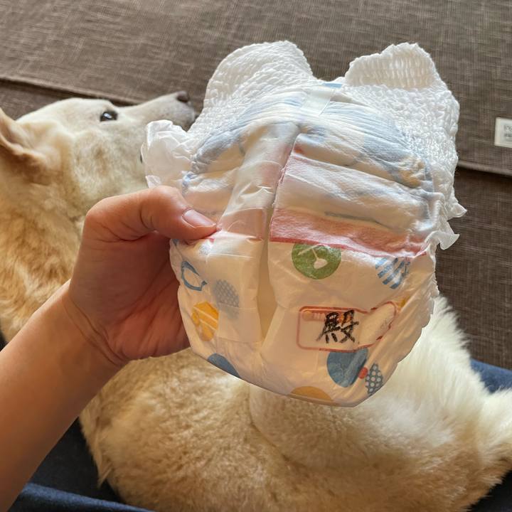 C9ea2842 d8e1 4f9a a1ed c147121fa9ab 1666288250345