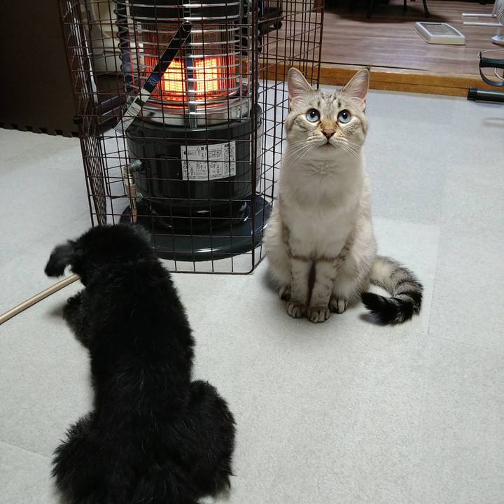 C9ea2d88 54fb 410d 85f9 7cfeb4b4ccd2 1701169909959