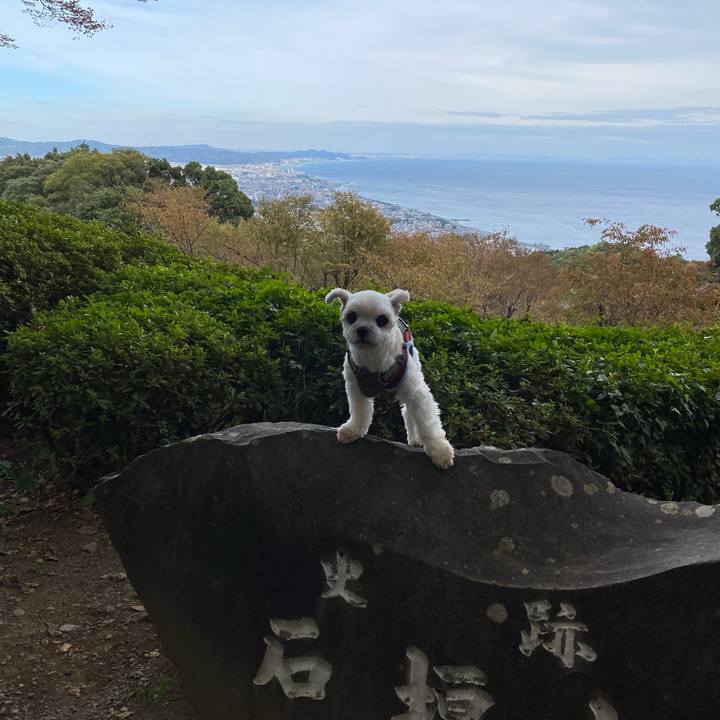 C9ead846 e8fa 4334 ab66 66e740d00167 1636277805282