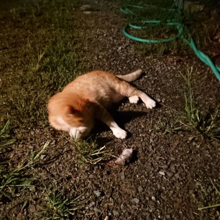 C9eae06e 2e3d 45b2 9164 28400e15586a 1566216163322