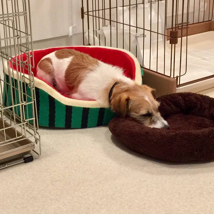 C9eaf47d 7d6b 400e b5a8 cf16a60e69c1 1555510875222