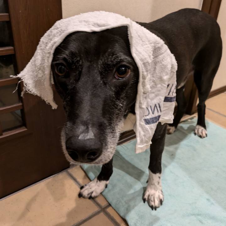 C9eafd65 6836 4697 9a4f 04f758419726 1728644718221