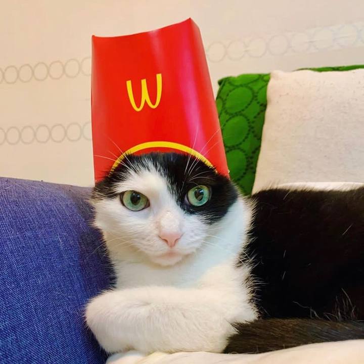 C9eb2361 3732 4cfc 8ab6 e35d3b1ea972 1670651764993