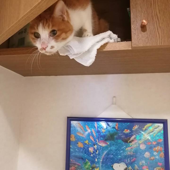 C9eb2dfc 05cf 40f6 b7bb 8193daee0d93 1630379545464