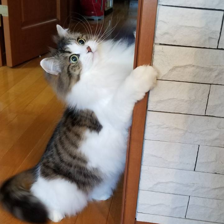 C9eb4a10 96ad 4d81 9a59 ebe59815eb71 1580517751207