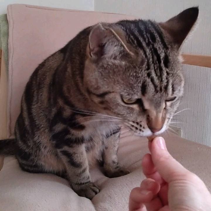 C9eb8c5c d510 4e1b a92d fcb94d2fcdd4 1708678822215