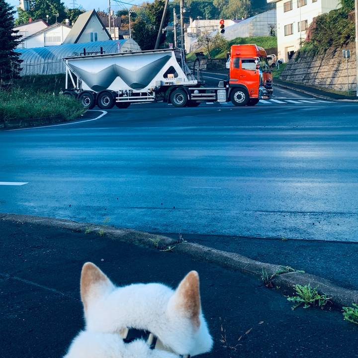 C9eb8da7 c2e3 4945 8b4e f3fec6b68673 1601593698415