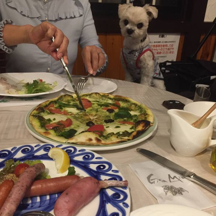 C9ebca7c a1d9 4a6a a266 cf1ca0cbee24 1509101186623