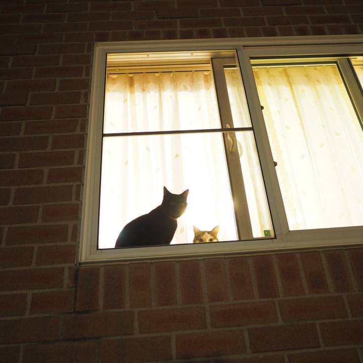 C9ebeff5 ebfa 49ce 9c87 5ec8bc74e7b8 1536762009541