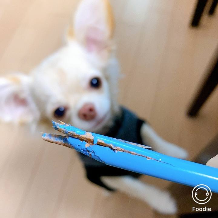 C9ebfa83 9e92 4f47 8cd9 9b63ecc7e9e4 1604895312491