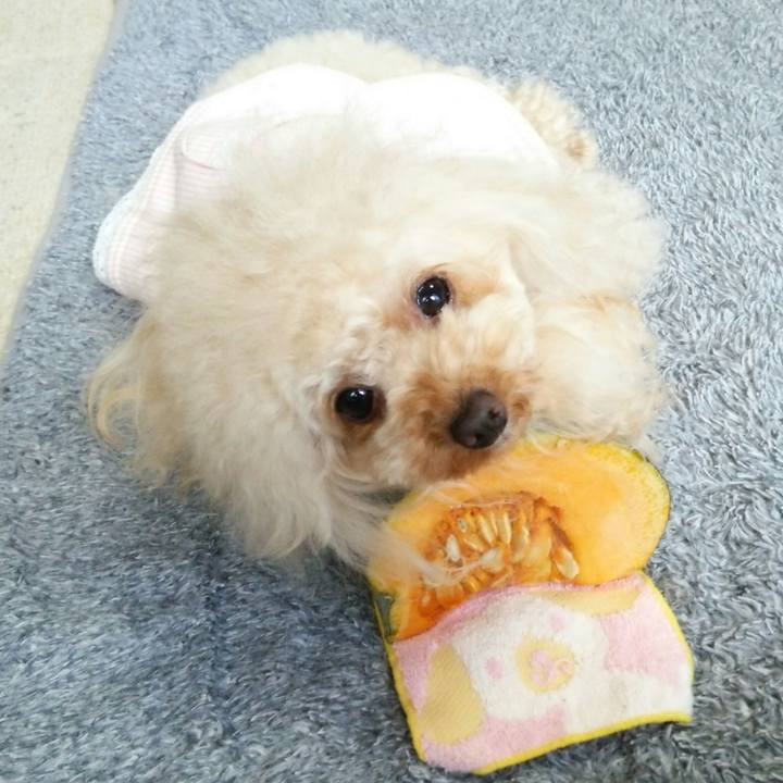 C9ec4189 6a38 493b b1ec c49ce2beb17f 1516103389179