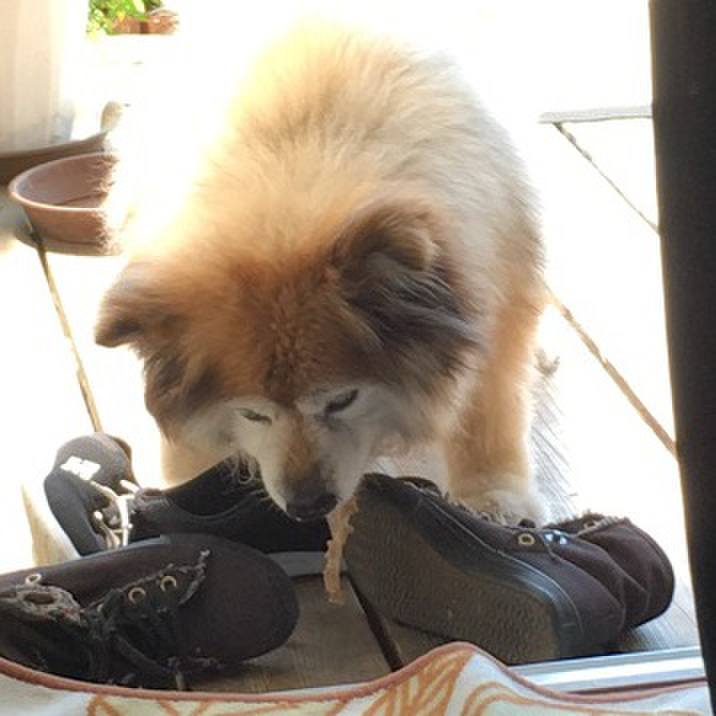 C9ec4350 c49b 4e59 a15e bee68dceb95c 1587799443317