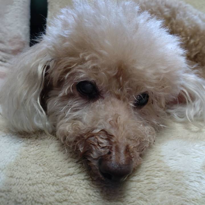 C9ec5cb8 b780 417e 8da2 dc609d205927 1695002075173