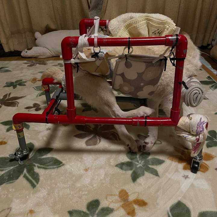 C9ec9a02 b2eb 41fa b2d6 4b5302493892 1670958090046