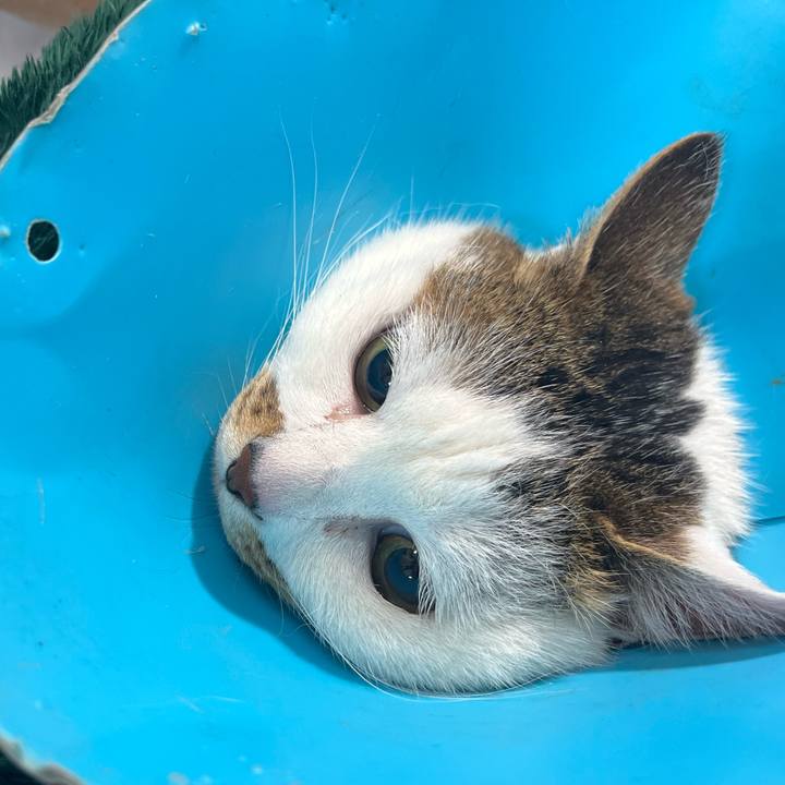 C9ecae70 21ea 4b96 9892 1c2fb278f7b7 1709824946382