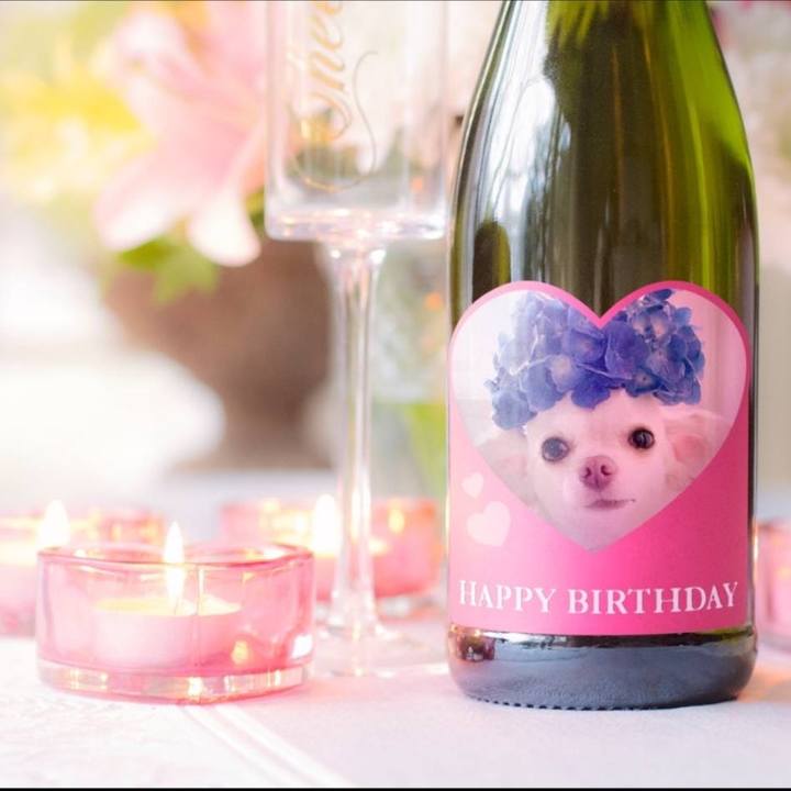 C9ecd9e6 4492 4f23 bc44 50814b5b9d4a 1686544078518